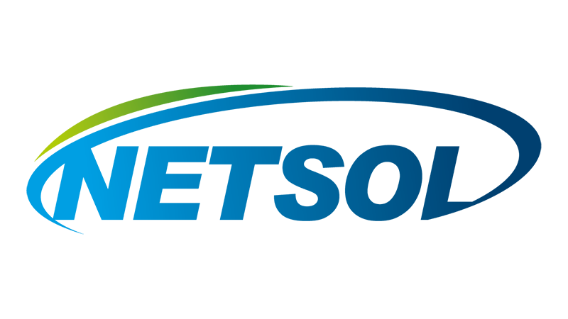 memorysolution_partner_netsol_b6b2cb1ac08040cd9dba659850c9c730