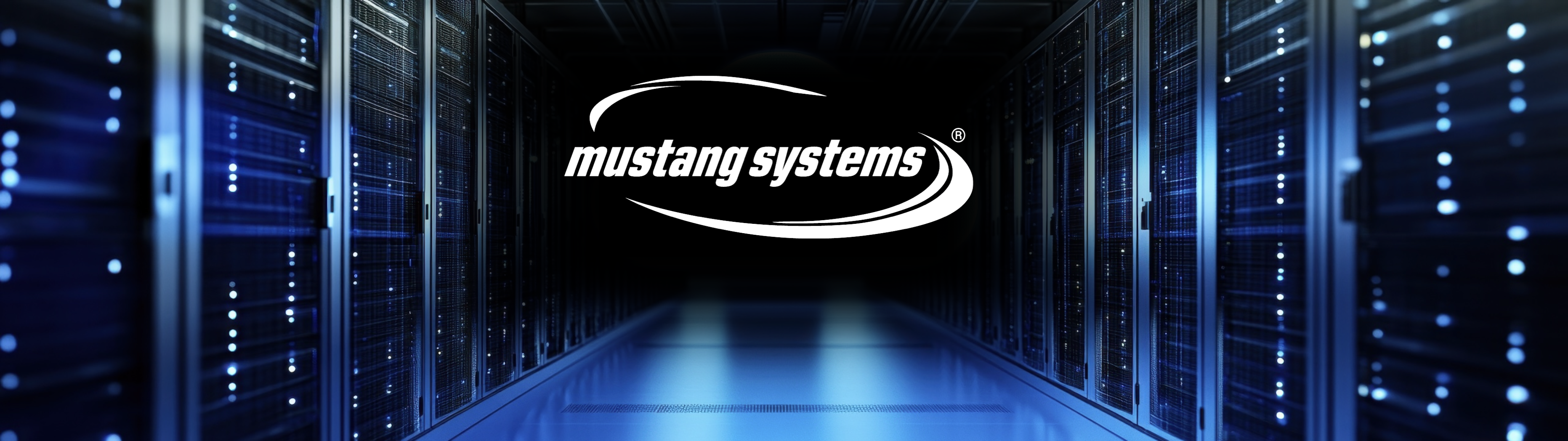 87_CustomServer-forMustangSystemsLogo_2560x720_withLogo_e76b1332bb6c40c596cba0277f4adc5c