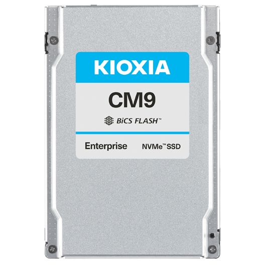 1.6TB KIOXIA SSD CM9-V U.3 NVMe SIE